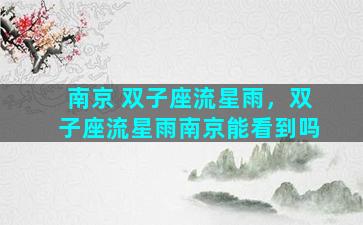 南京 双子座流星雨，双子座流星雨南京能看到吗